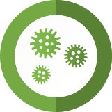 Mold Air Inspection Pros