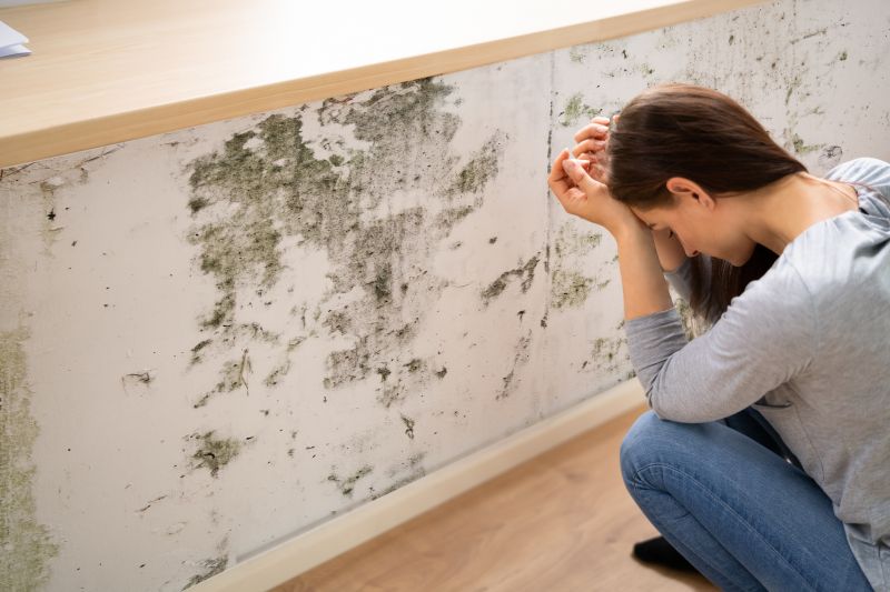 Attic Mold Remediation in Dallas, TX