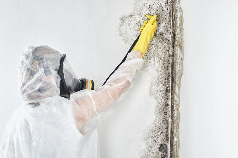 Mold Control in Fort Lauderdale, FL