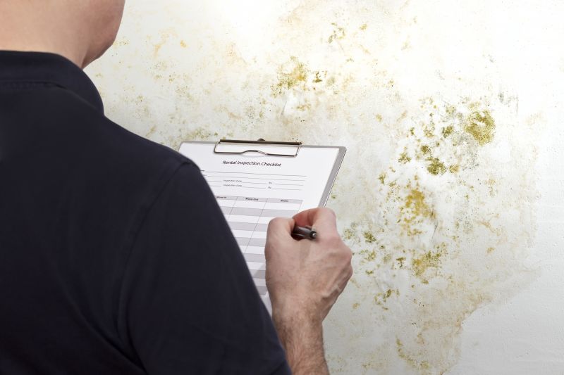 Mold Air Inspection