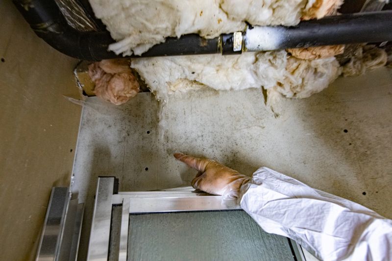 Mold Air Inspection