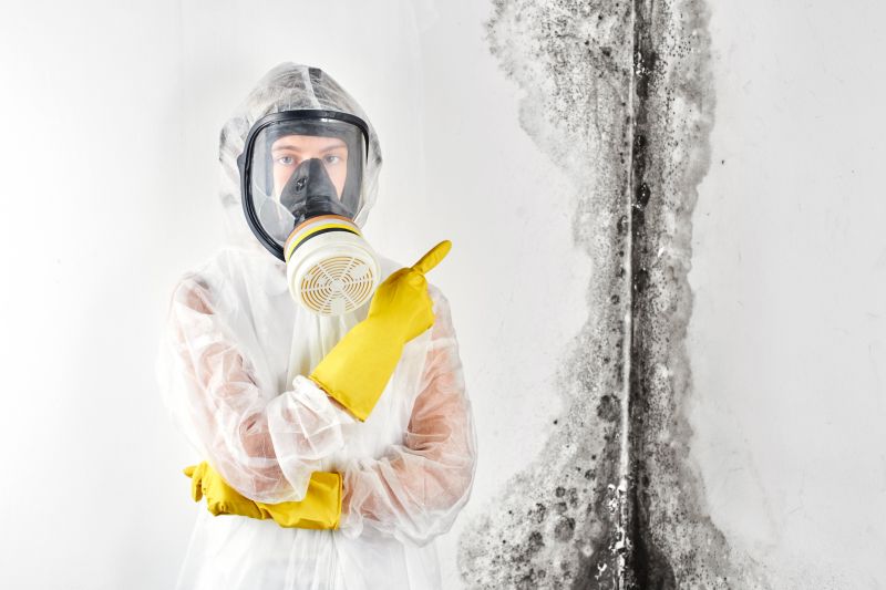 Mold Air Inspection