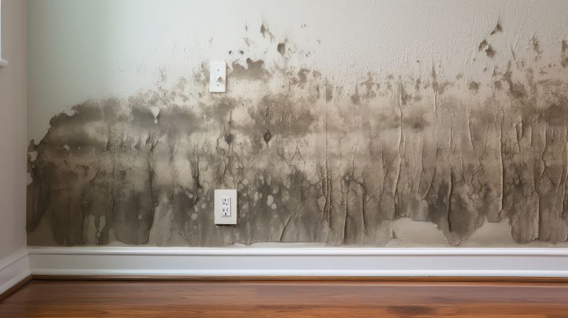 Post-Water Damage Scene
