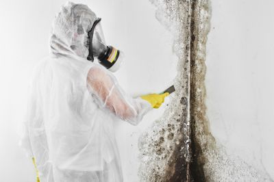 Mold Cleanup Service in Fort Worth, TX