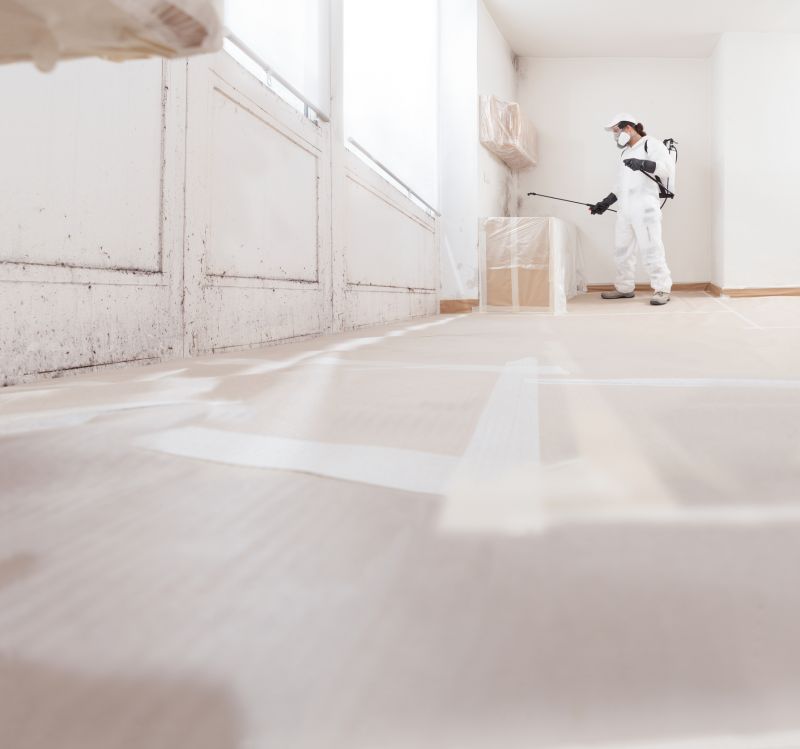 Mold Mitigation Service