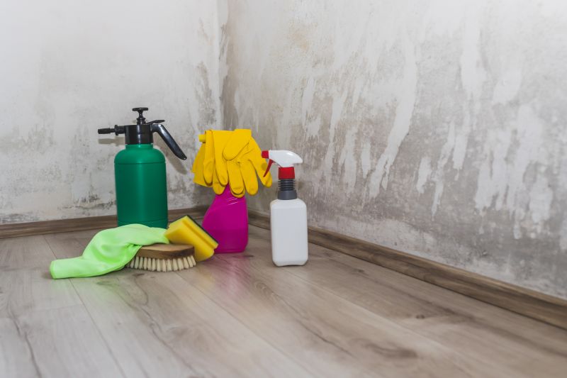 Mold Mitigation Service in Bergen County, NJ