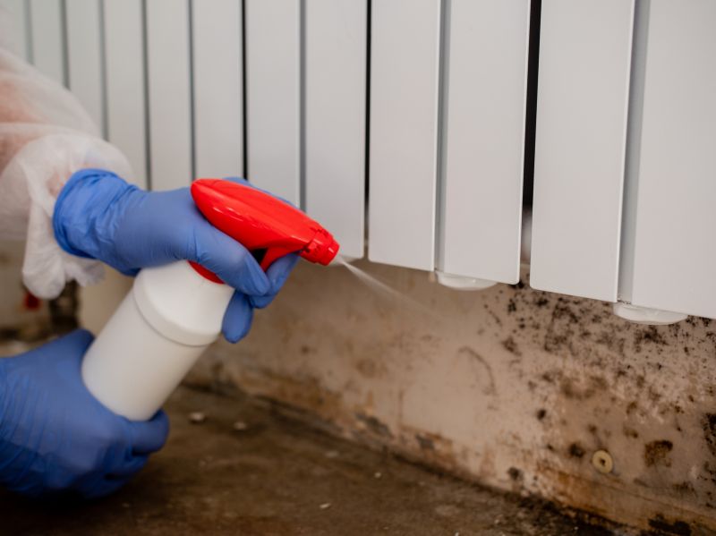 Mold Treatment Service in Broward County, FL